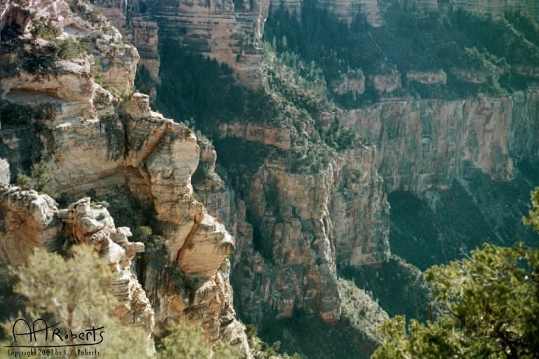 Grand Canyon  15.jpg - Rows and rows of cliffs